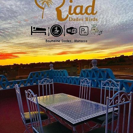 Riad Dades Birds Boumalne Dades Luaran gambar