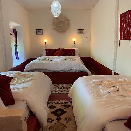 Riad Dades Birds Boumalne Dades Luaran gambar