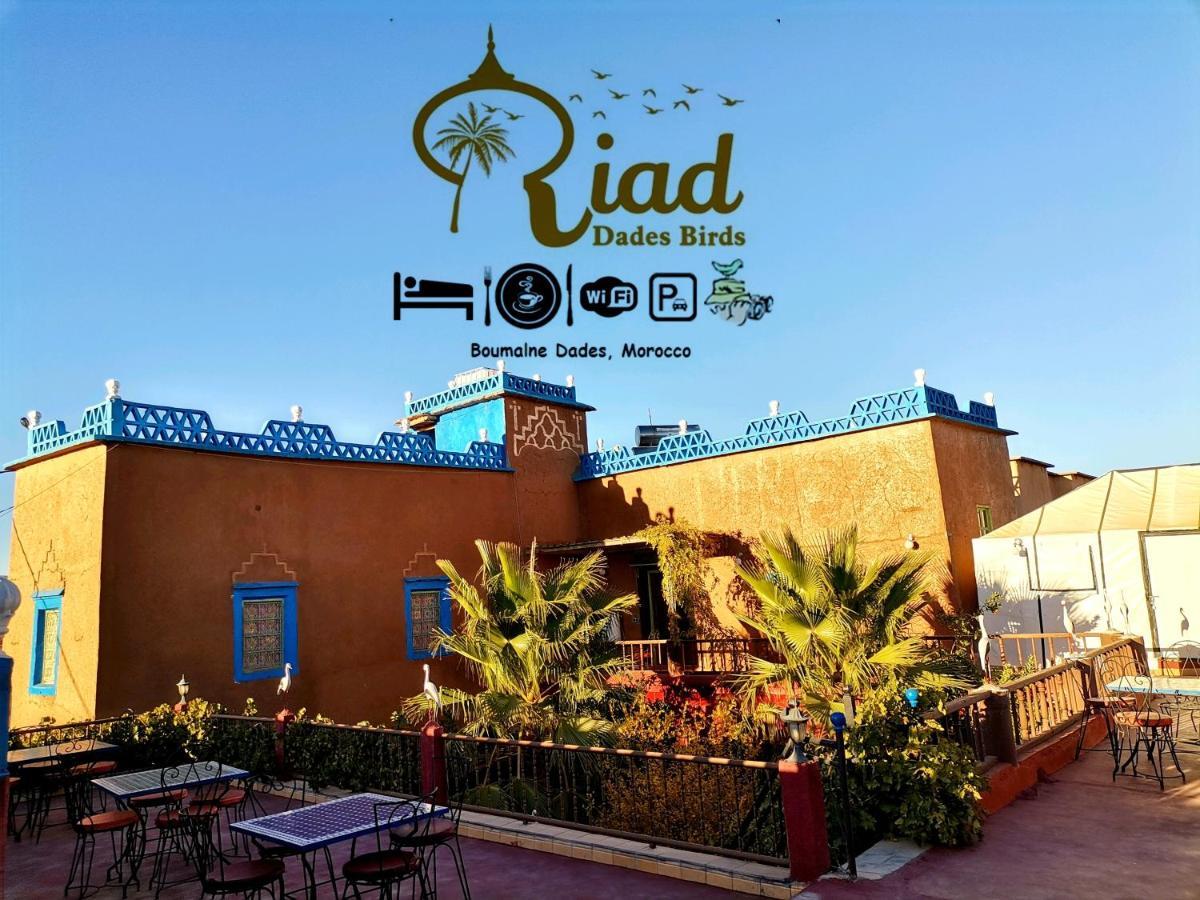 Riad Dades Birds Boumalne Dades Luaran gambar