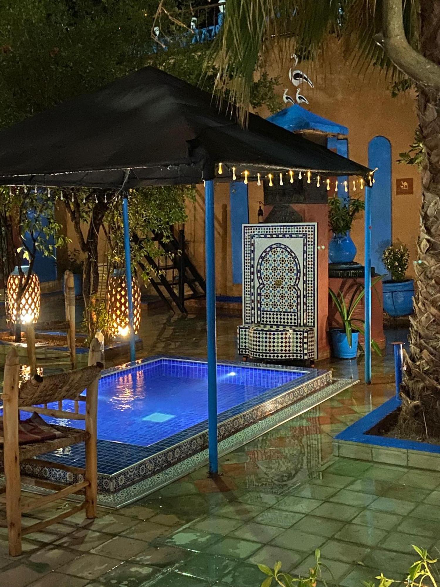 Riad Dades Birds Boumalne Dades Luaran gambar