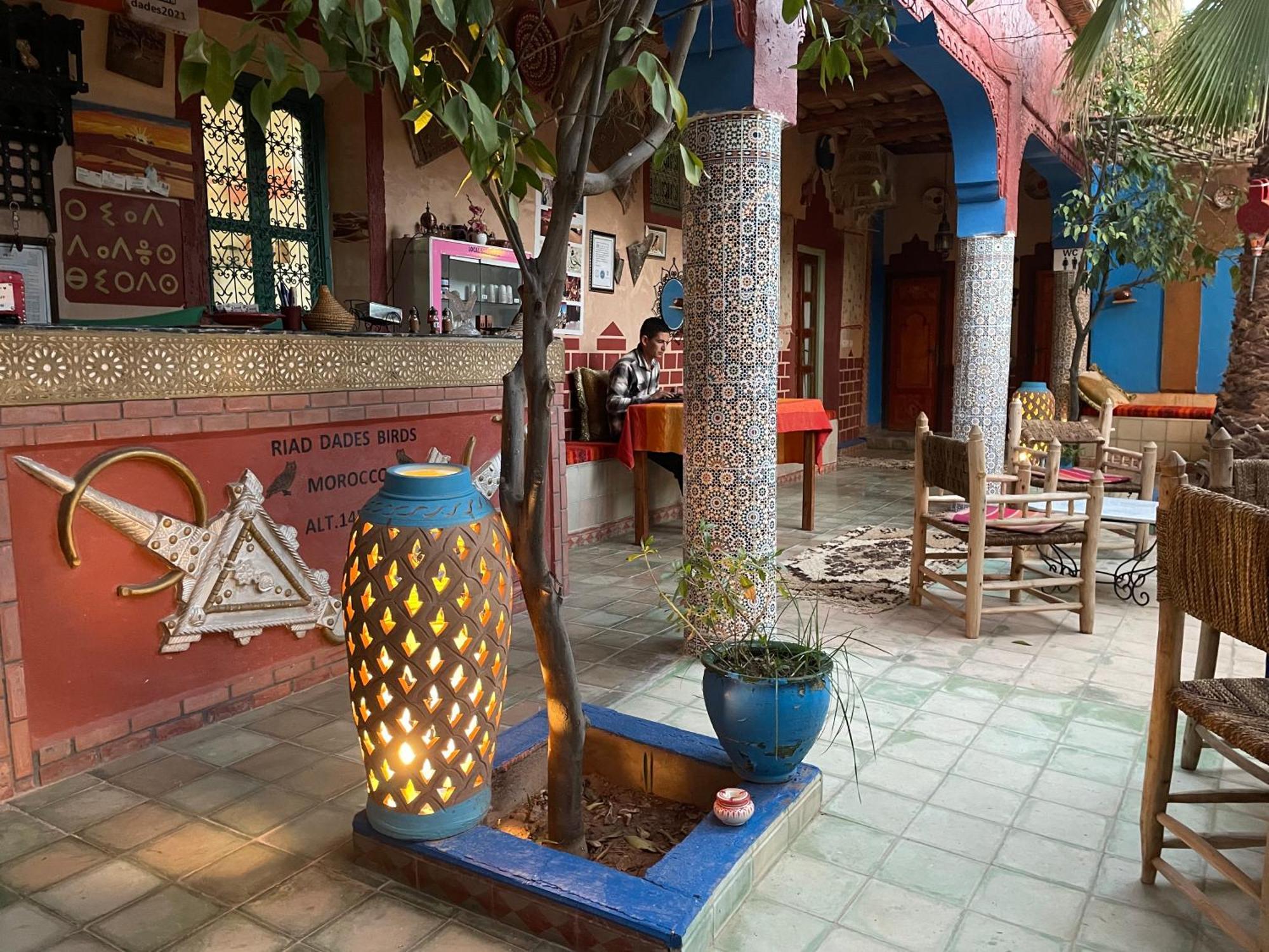 Riad Dades Birds Boumalne Dades Luaran gambar