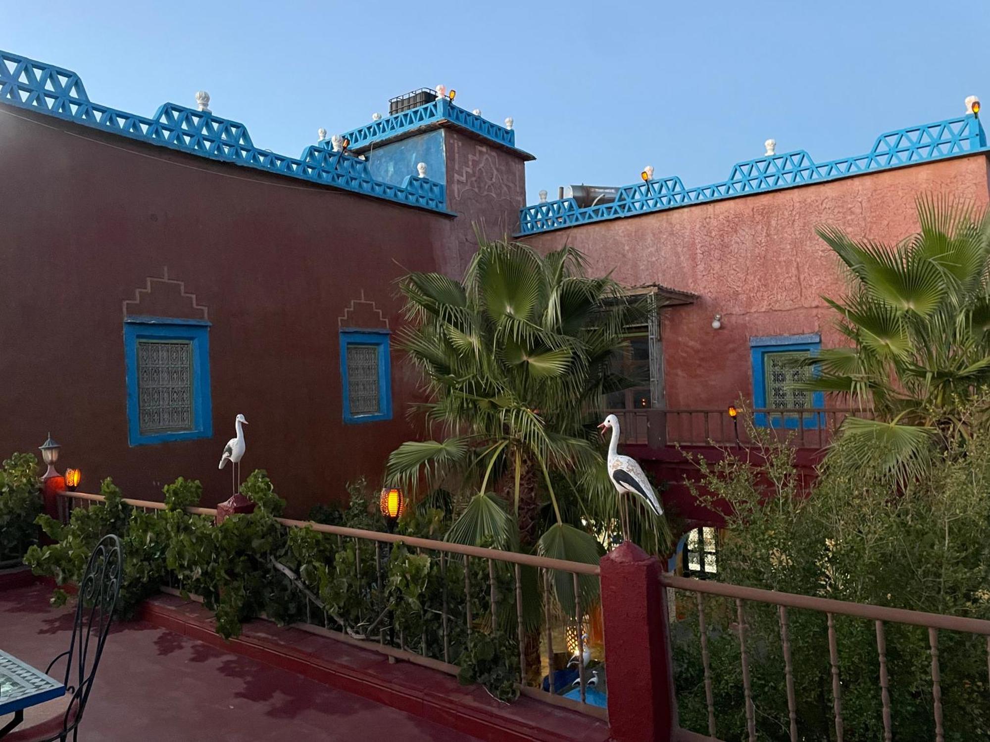 Riad Dades Birds Boumalne Dades Luaran gambar