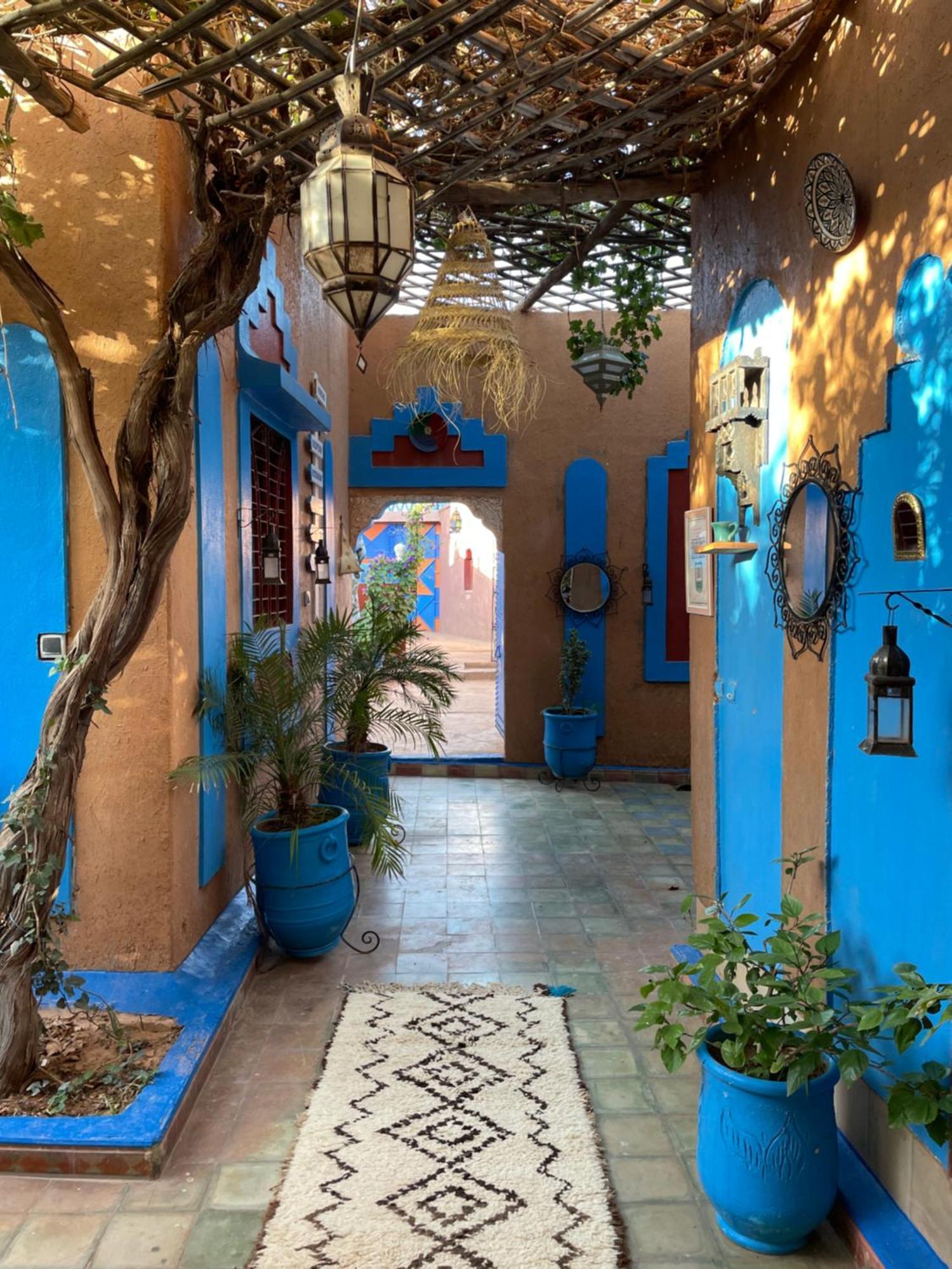 Riad Dades Birds Boumalne Dades Luaran gambar