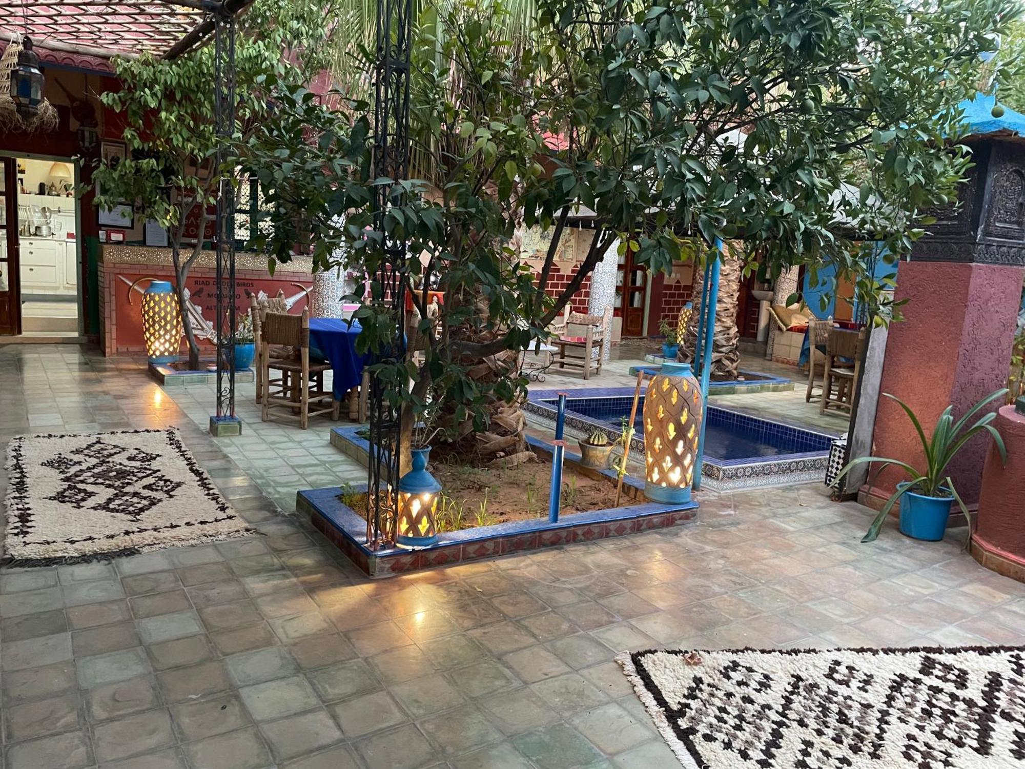 Riad Dades Birds Boumalne Dades Luaran gambar