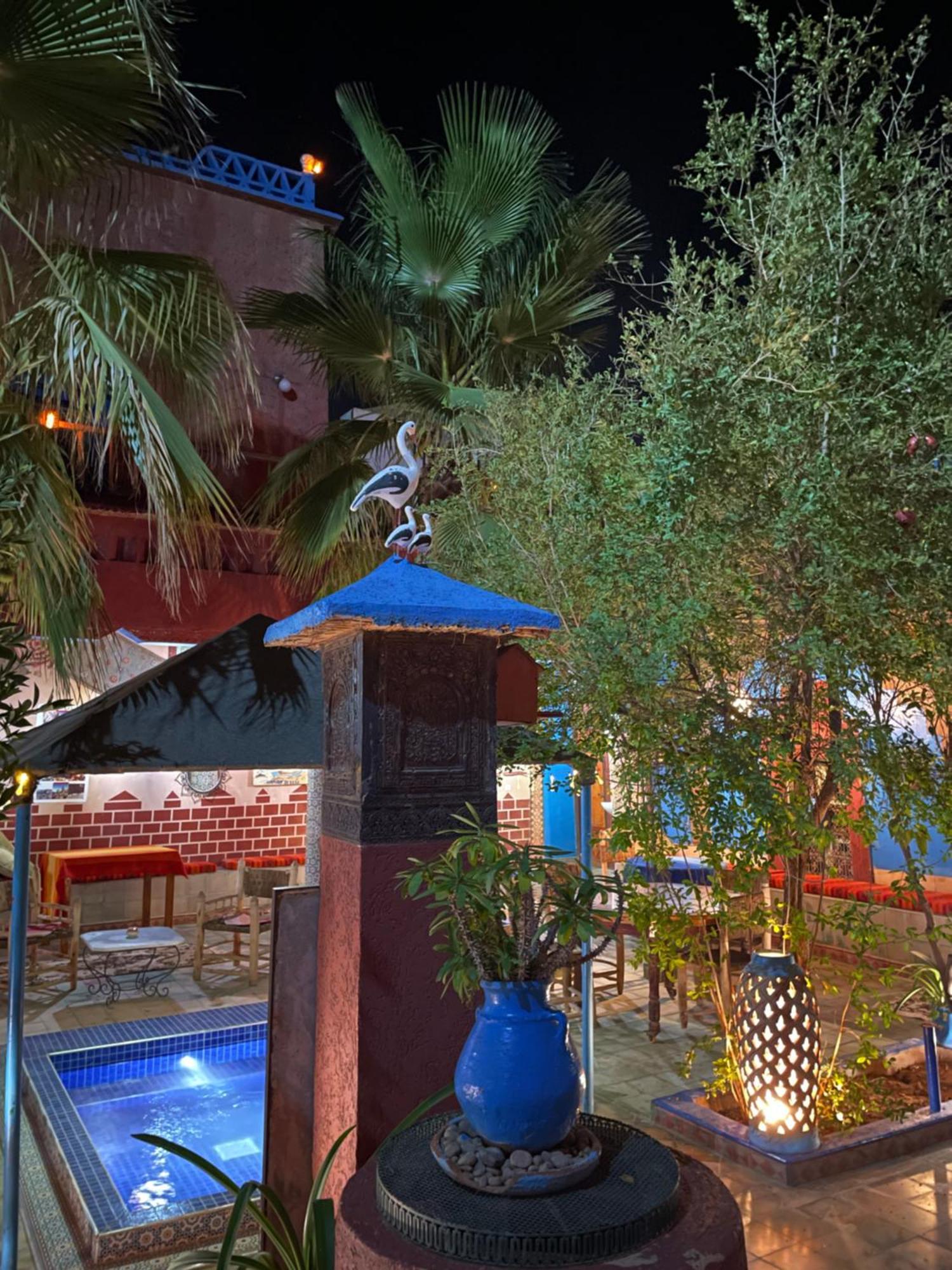 Riad Dades Birds Boumalne Dades Luaran gambar