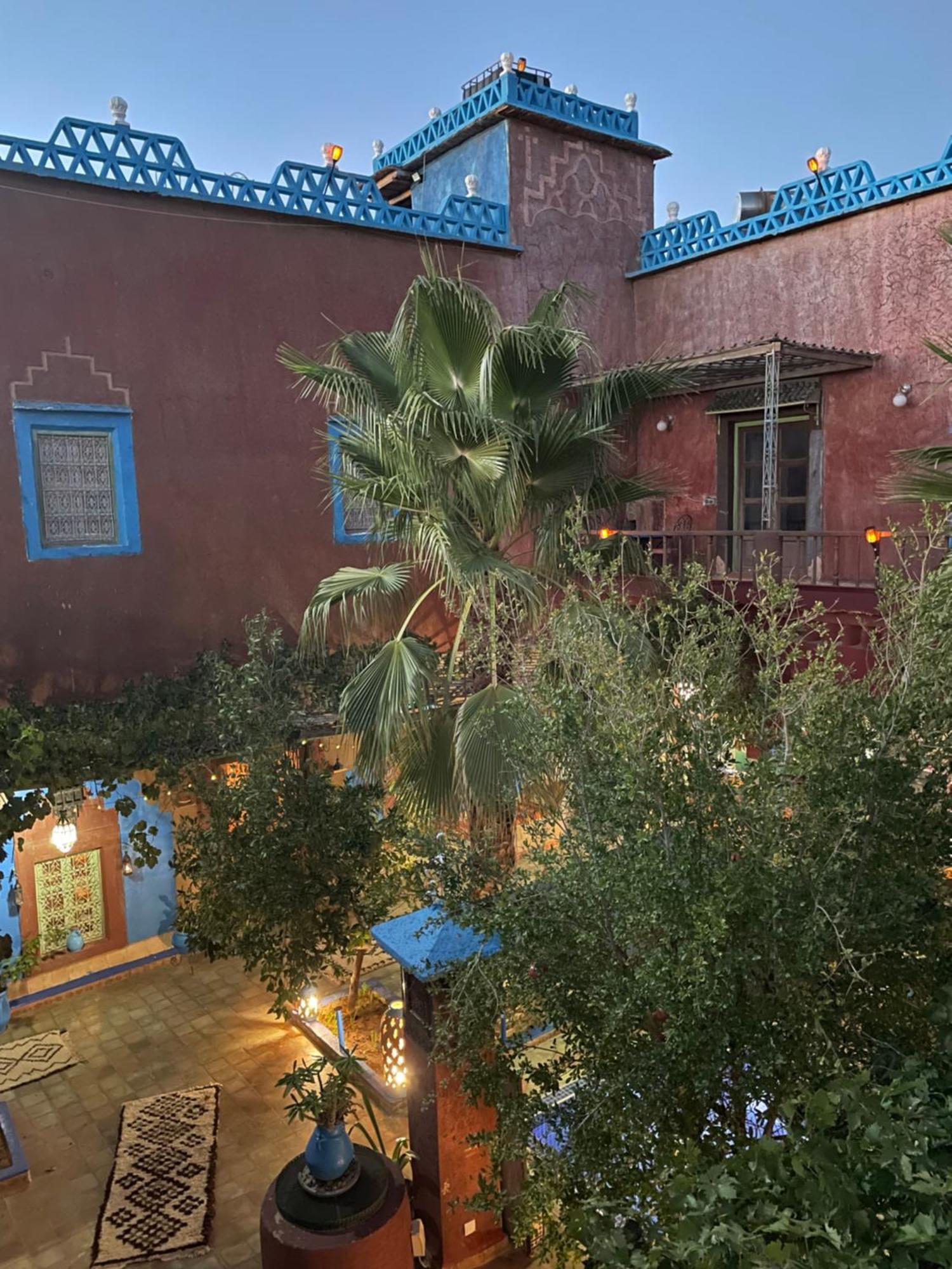 Riad Dades Birds Boumalne Dades Luaran gambar