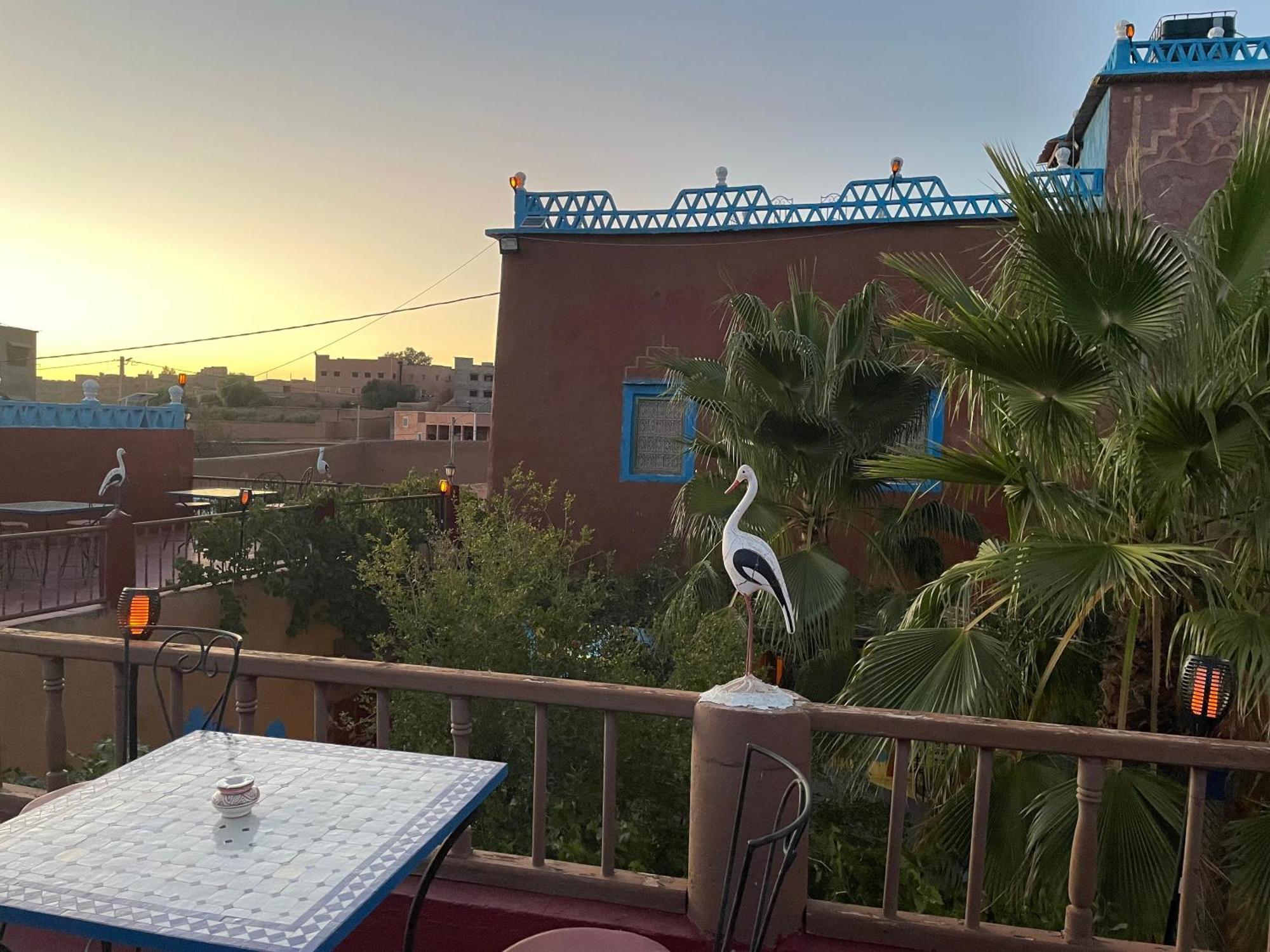 Riad Dades Birds Boumalne Dades Luaran gambar