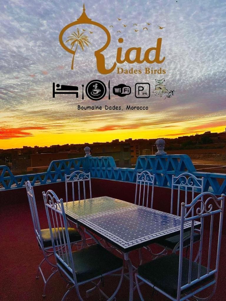 Riad Dades Birds Boumalne Dades Luaran gambar