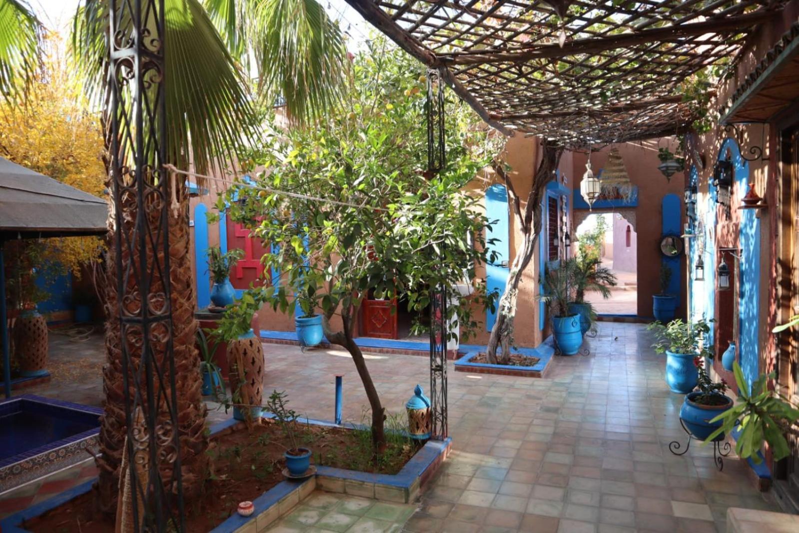 Riad Dades Birds Boumalne Dades Luaran gambar