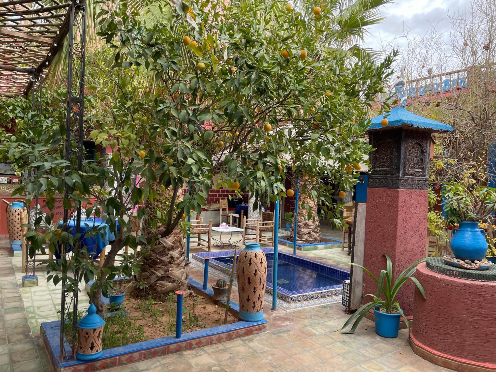 Riad Dades Birds Boumalne Dades Luaran gambar